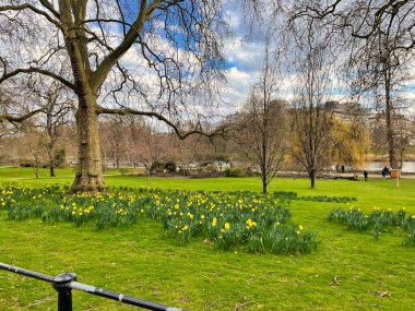 Londra, Birleşik Krallık - 6 Mart 2022: Green Park ve alışveriş merkezi dışında nergislerle dolu bir eğlence parkı ve Parliament Hill manzarası var.