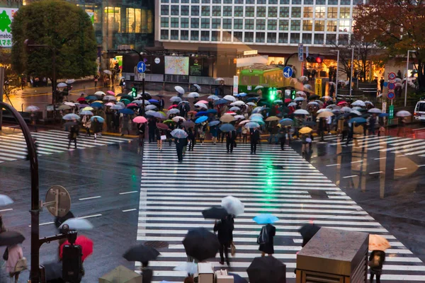 東京都 2012年11月25日 横断歩道を渡り 大勢の人が通り過ぎる姿は幻想的で まるでゲームのようです — ストック写真