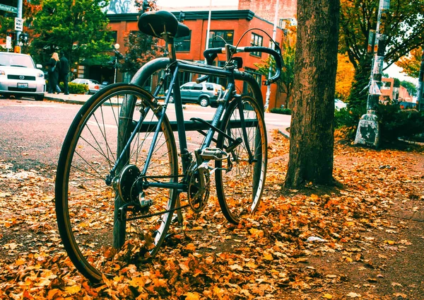 Seattle Estados Unidos Outubro 2009 Uma Bicicleta Esportiva Está Estacionada — Fotografia de Stock