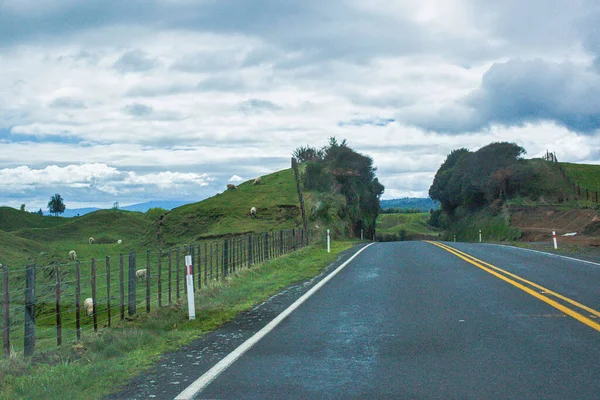 Nouvelle Zélande Putarua Septembre 2009 Une Route Ligne Droite Coupe — Photo