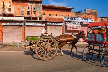 Jaipur, Hindistan - 16 Eylül 2011: Jaipur Hindistan caddesinde arka planda kapalı dükkanlar ile bir at ve araba taşımacılığı