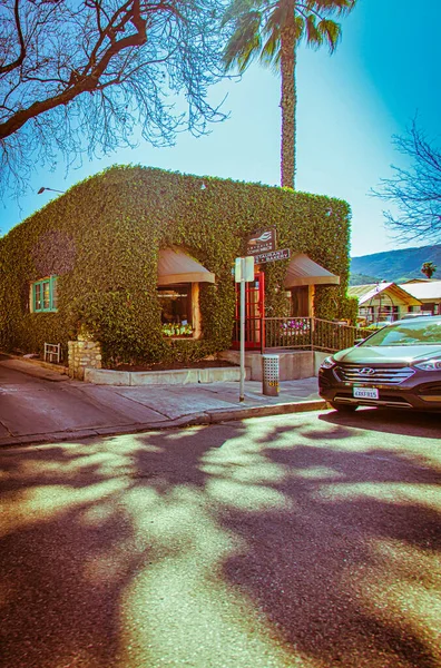 2013年 平成25年 2月25日 アメリカ合衆国王子街のメインストリート沿いの店を背景に ツタや野生植物 丘陵地が生い茂る — ストック写真