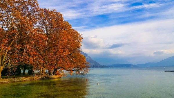 Annecy Francja Października 2015 Jesienią Drzewo Gałęzie Wiszące Nad Jeziorem — Zdjęcie stockowe
