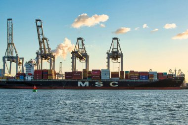 Rotterdam, Hollanda - 22 Kasım 2021: Güverte gemisindeki konteynırları boşaltmak için devasa yarıdan ve tamamen otomatik vinçlerden oluşan hatlar