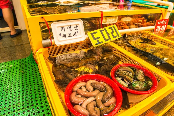 Sokcho South Korea June 2015 Sea Creatures One Has Never — Stock Photo, Image