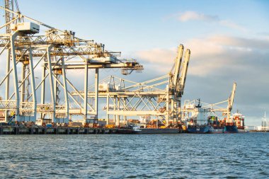 Rotterdam, Hollanda - 22 Kasım 2021: Limandaki gemilerin konteynırlarını boşaltmak için devasa yarıdan ve tamamen otomatik vinçlerden oluşan hatlar