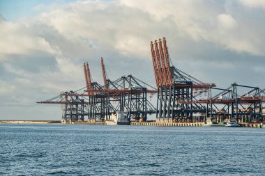 Rotterdam, Hollanda - 22 Kasım 2021: Limandaki gemilerin konteynırlarını boşaltmak için devasa yarıdan ve tamamen otomatik vinçlerden oluşan hatlar