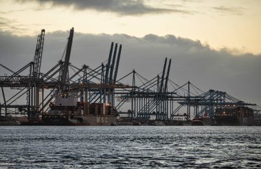 Rotterdam, Hollanda - 22 Kasım 2021: Limandaki gemilerin konteynırlarını boşaltmak için devasa yarıdan ve tamamen otomatik vinçlerden oluşan hatlar