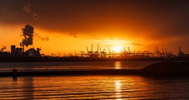 Rotterdam, Hollanda - 22 Kasım 2021: Limandaki gemilerin konteynırlarını boşaltmak için devasa yarıdan ve tamamen otomatik vinçlerden oluşan hatlar