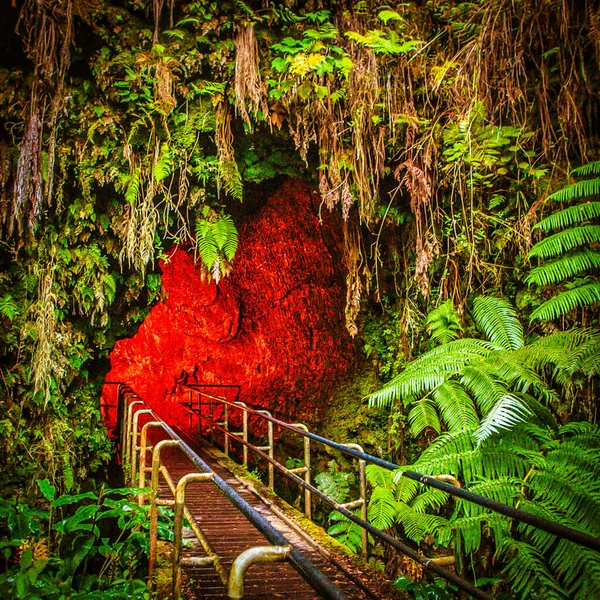 Hawaï États Unis Septembre 2012 Tunnel Lave Volcanique Une Petite — Photo