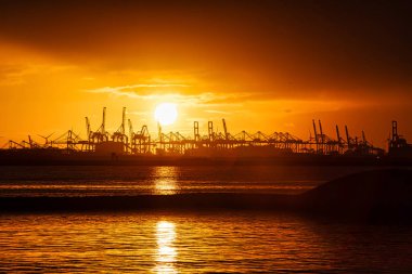 Rotterdam, Hollanda - 22 Kasım 2021: Limandaki gemilerin konteynırlarını boşaltmak için devasa yarıdan ve tamamen otomatik vinçlerden oluşan hatlar