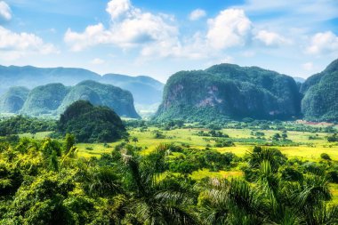 Viales, Küba - 10 Temmuz 2018: Viales Vadisi manzarası. Tropikal ve neredeyse bir yağmur ormanı. Aynı isimde bir milli parkın içinde. Palmiye ağaçları, aşırı gelişmiş tepelerden oluşan etkileyici bir manzara..