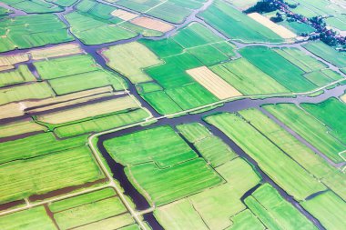 Schiphol, Hollanda - 20 Temmuz 2010: Kanallı tipik Hollanda kırsalının hava görüntüsü