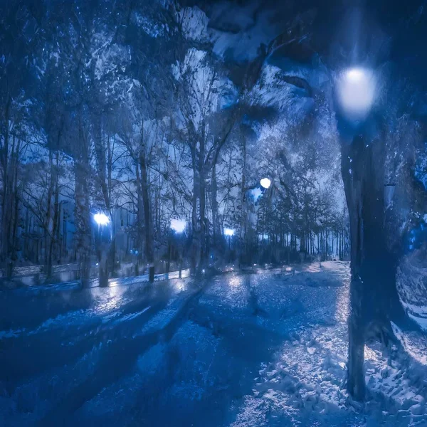 Lumière Lune Brille Travers Les Arbres Donnant Une Ancienne Avenue — Photo