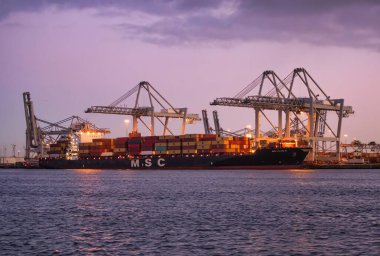 Rotterdam, Hollanda - 22 Kasım 2021: Güverte gemisindeki konteynırları boşaltmak için devasa yarıdan ve tamamen otomatik vinçlerden oluşan hatlar