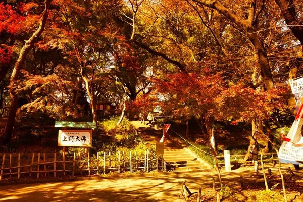 Tokyo Japan November 2012 Park Very Busy Even Packed Weekends — 스톡 사진