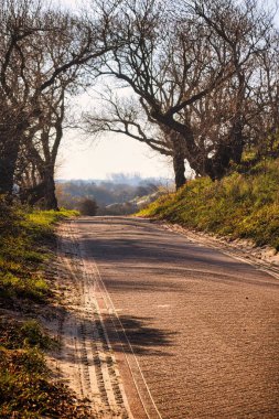 Wassenaar, Hollanda - Kasım 06 2020: gizemli görünümlü ağaçlar ve açık mavi gökyüzü ile Lahey kenti yakınlarındaki ulusal kum tepeleri parkında bir bisiklet yolu veya şeridi