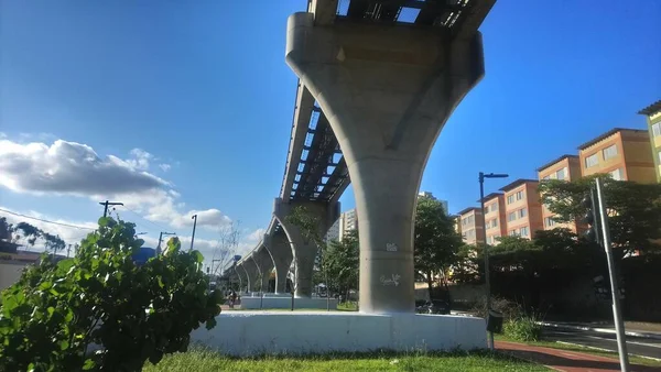 Illustrering Landscape Paulo Arrival Monorail Its Structure Middle Professor Luiz — Stockfoto