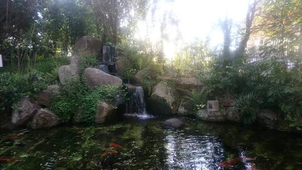 Parque Professora Lydia Natalzio Diogo Est Parc Situé Dans Quartier — Photo