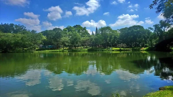 Ibirapuera Park Najlepszy Park Mieście Paulo Miejsce Spędzenia Dnia Spokoju — Zdjęcie stockowe