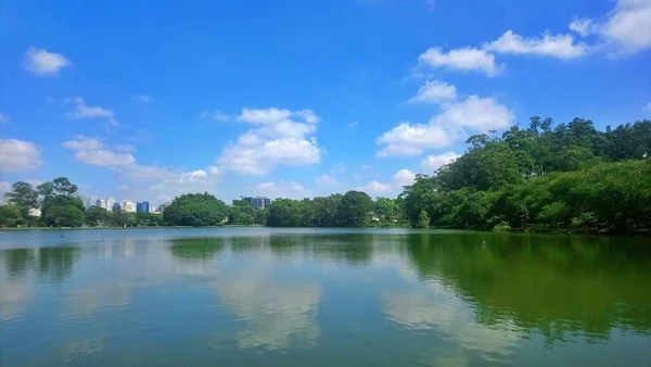 Ibirapuera Park Καλύτερο Πάρκο Στην Πόλη Της Paulo Ένα Μέρος — Φωτογραφία Αρχείου