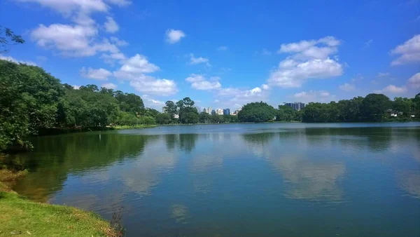 Parque Ibirapuera Mejor Parque Ciudad Paulo Lugar Para Pasar Día — Foto de Stock