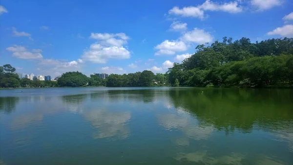 Parque Ibirapuera Mejor Parque Ciudad Paulo Lugar Para Pasar Día — Foto de Stock