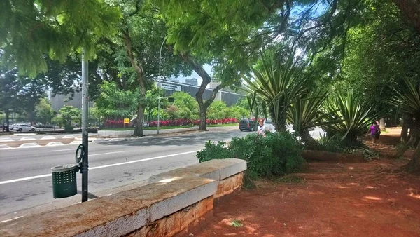 Ibirapuera Park Καλύτερο Πάρκο Στην Πόλη Της Paulo Ένα Μέρος — Φωτογραφία Αρχείου