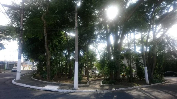 リディア ナタリツィオ ディオゴ教授生態公園 ヴィラ プルデンテ 日本庭園 遊び場 ジム設備を備えた教師にちなんで名付けられた公園 — ストック写真