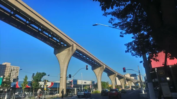 Gelevateerde Monorail Structuur Avenue Professor Luiz Ignacio Anhaia Melo — Stockfoto