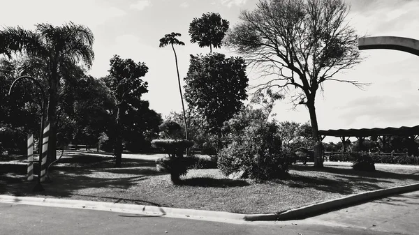 楽しい アドレナリンと興奮 あなたはこれらのすべてを見つけることができますBeto Carero World — ストック写真