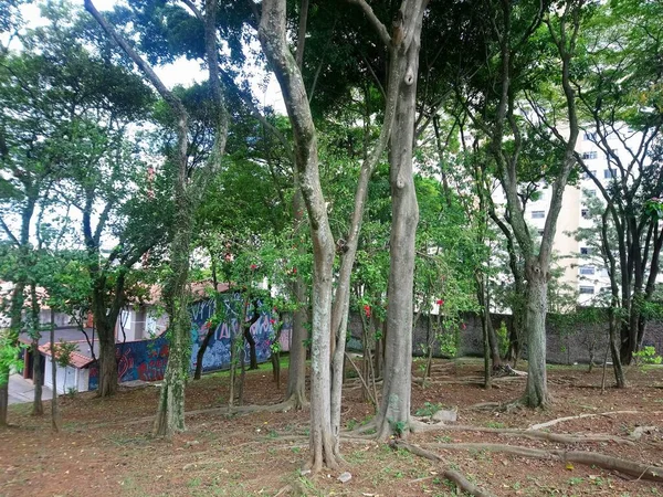 Plaza Hereny Costa Junto Rua Juiz Fora Sapopemba Sao Paulo —  Fotos de Stock