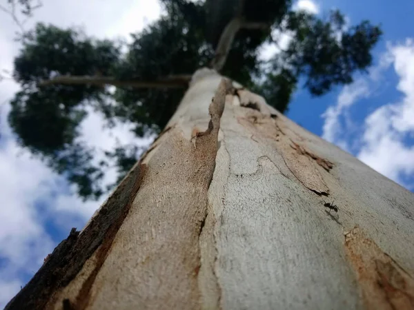 Praça Hereny Costa Lado Rua Juiz Fora Sapopemba São Paulo — Fotografia de Stock