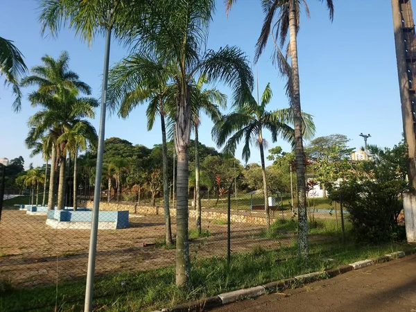 Ceretレクリエーションクラブ スイミングプール サッカー ラグビー場などのスポーツ複合施設を備えた大規模な公園 テニスコート 子供の遊び場もあります Canuto Abreu Jardm Analia — ストック写真