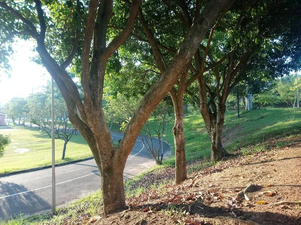 Ceret Recreational Club Taman Besar Dengan Kompleks Olahraga Yang Mencakup — Stok Foto