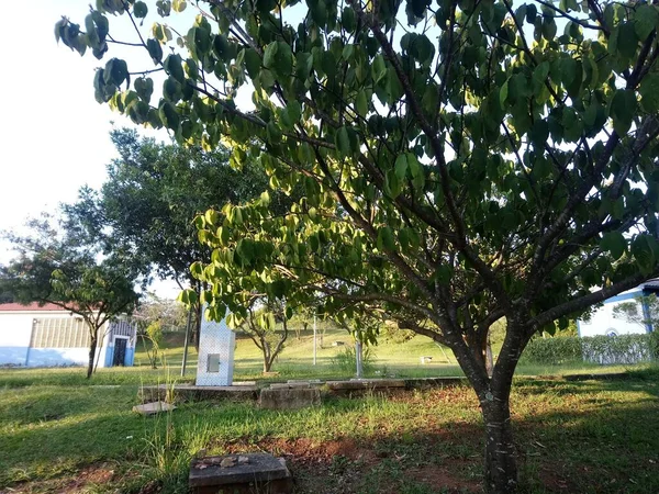 Ceret Recreational Club Grande Parque Com Complexo Desportivo Que Inclui — Fotografia de Stock