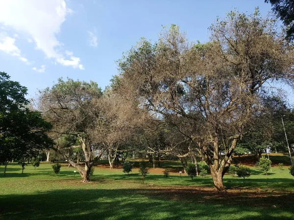 Ceret Recreational Club Gran Parque Con Complejo Deportivo Que Incluye —  Fotos de Stock