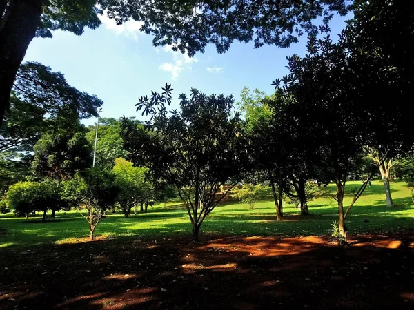 Ceret Recreational Club Duży Park Kompleksem Sportowym Który Obejmuje Basen — Zdjęcie stockowe