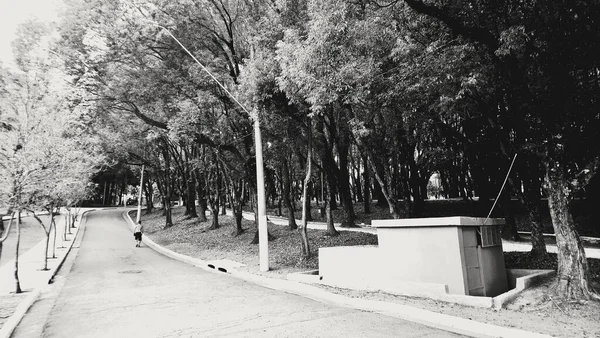 Paulo Park Aileni Götür Bolca Temiz Hava Bol Bol Eğlence — Stok fotoğraf