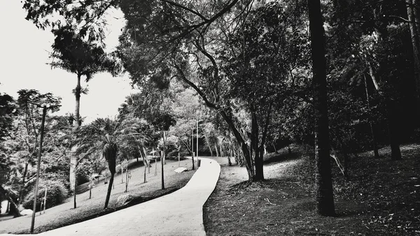 Parque Paulo Llevar Familia Montón Aire Fresco Montón Diversión Mucha — Foto de Stock