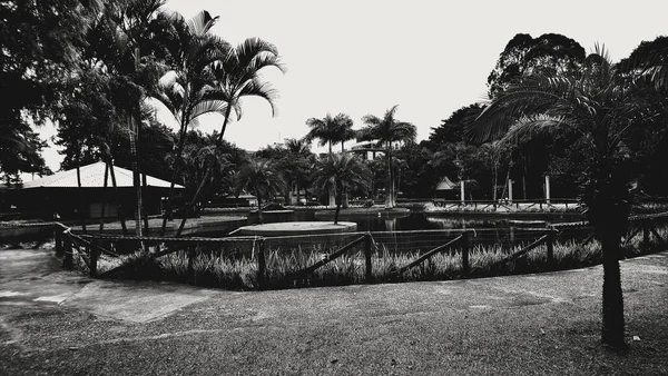 サンパウロの公園 あなたの家族 新鮮な空気 多くの楽しみと平和の多くを取る — ストック写真