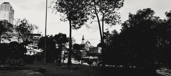 Santuario Santa Isabel Rainha Progetto Benedito Calixto Neto Una Torre — Foto Stock