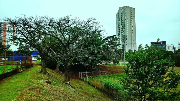 Public Park Analia Franco Jardim Neighborhood Heart Paulo — стоковое фото