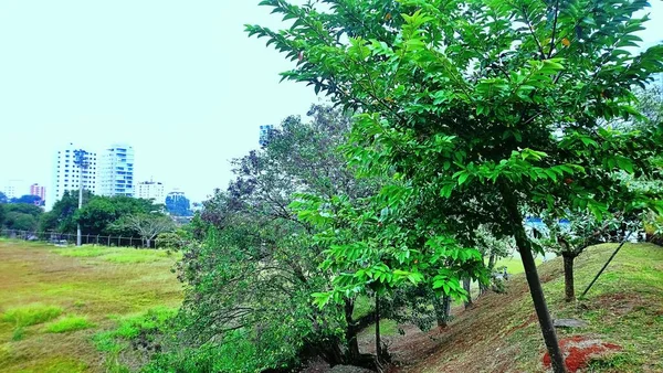 Ceret Park Anlia Franco Garden Mais Nova Parte Vila Formosa — Fotografia de Stock