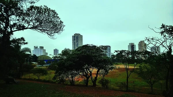Ceret Park Jardín Anlia Franco Parte Más Noble Vila Formosa —  Fotos de Stock