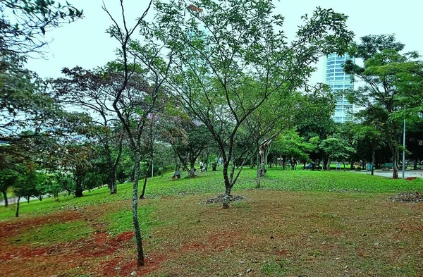 Ceret Park Anlia Franco Garden Most Noble Part Vila Formosa — стоковое фото
