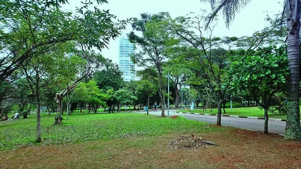 Ceret Park Jardín Anlia Franco Parte Más Noble Vila Formosa —  Fotos de Stock