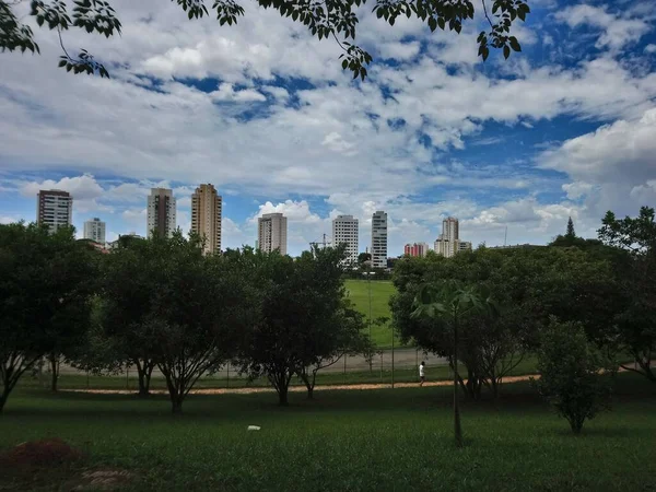 Park Vegetation Big City Ecological Park Place Great Beauty Peace — Stock Photo, Image