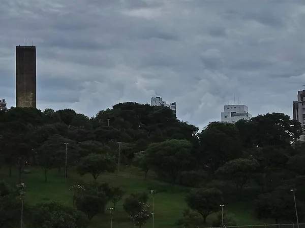 Vegetação Parque Uma Grande Cidade Parque Ecológico Lugar Grande Beleza — Fotografia de Stock