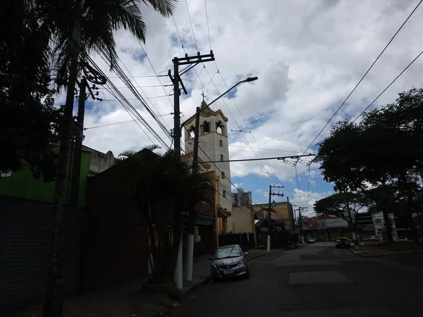 Vegetação Parque Uma Grande Cidade Parque Ecológico Lugar Grande Beleza — Fotografia de Stock